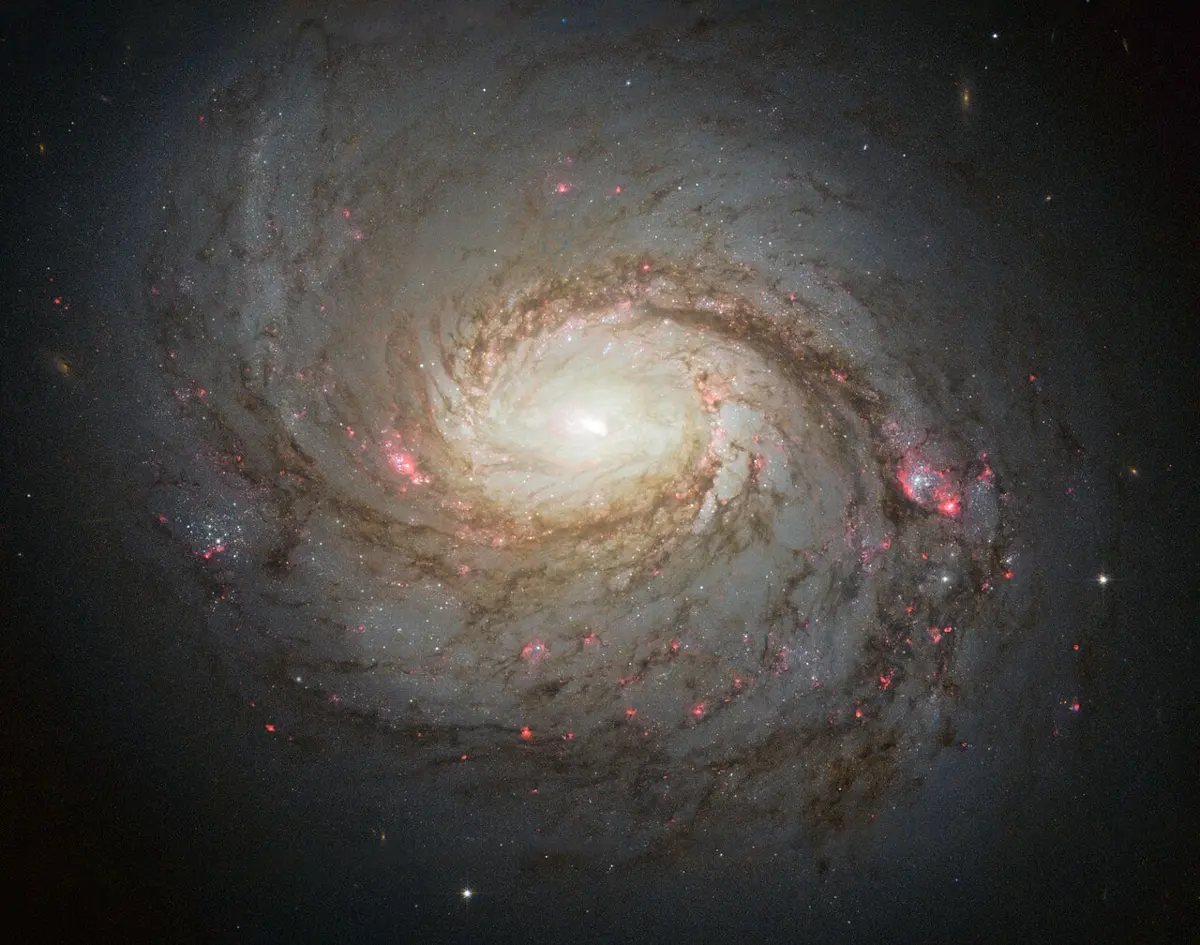 A spiral galaxy seen face on, with a bright white center and curling arms full of dark dust lanes and pink and blue patches