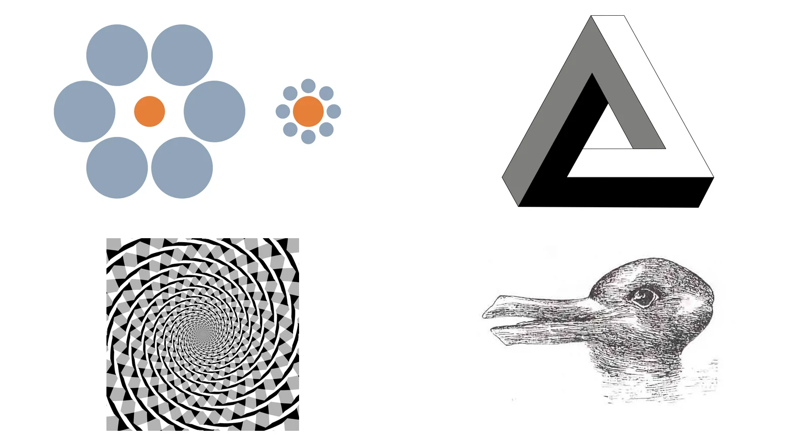 Four illusions: two orange circles of the same size that look different, an impossible triangle, a spiral made of circles, and a picture that is both a duck and a rabbit