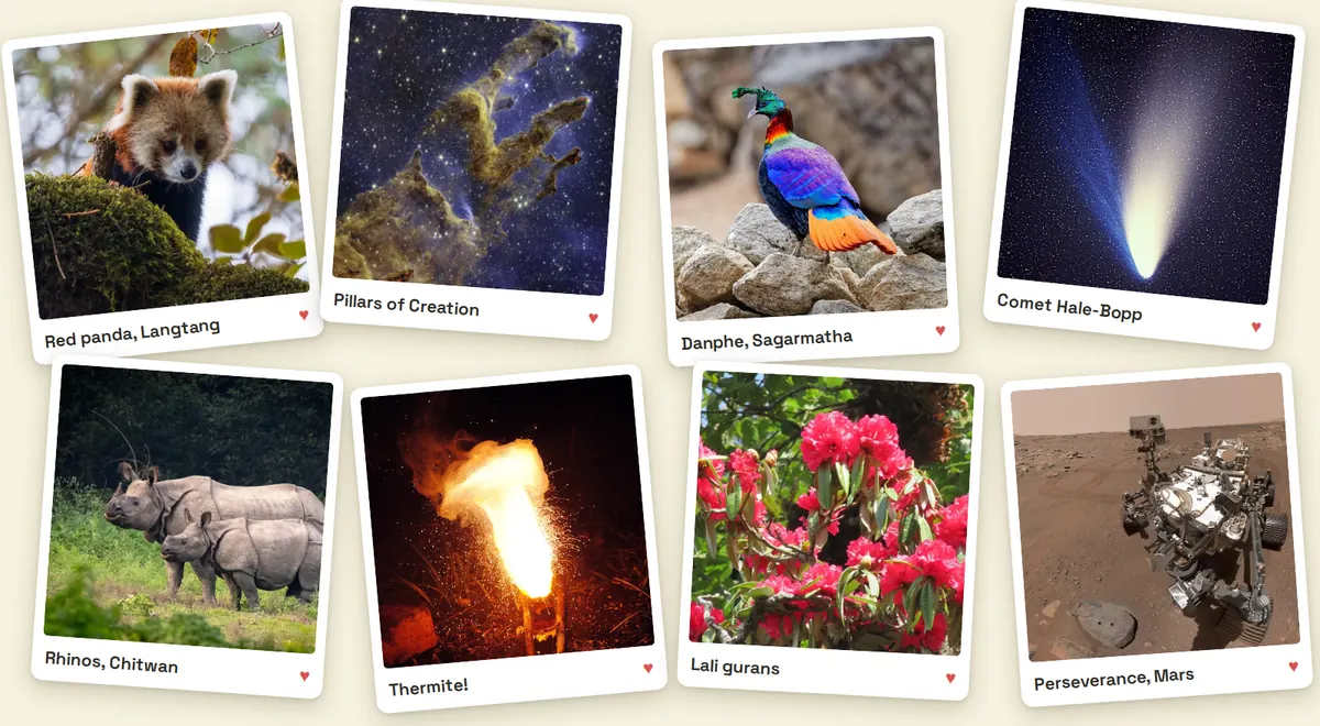 Photo cards from the books: a red panda in Langtang, the Pillars of Creation, a danphe, comet Hale-Bopp, rhinos in Chitwan, a thermite reaction, lali gurans and the Perseverance rover on Mars