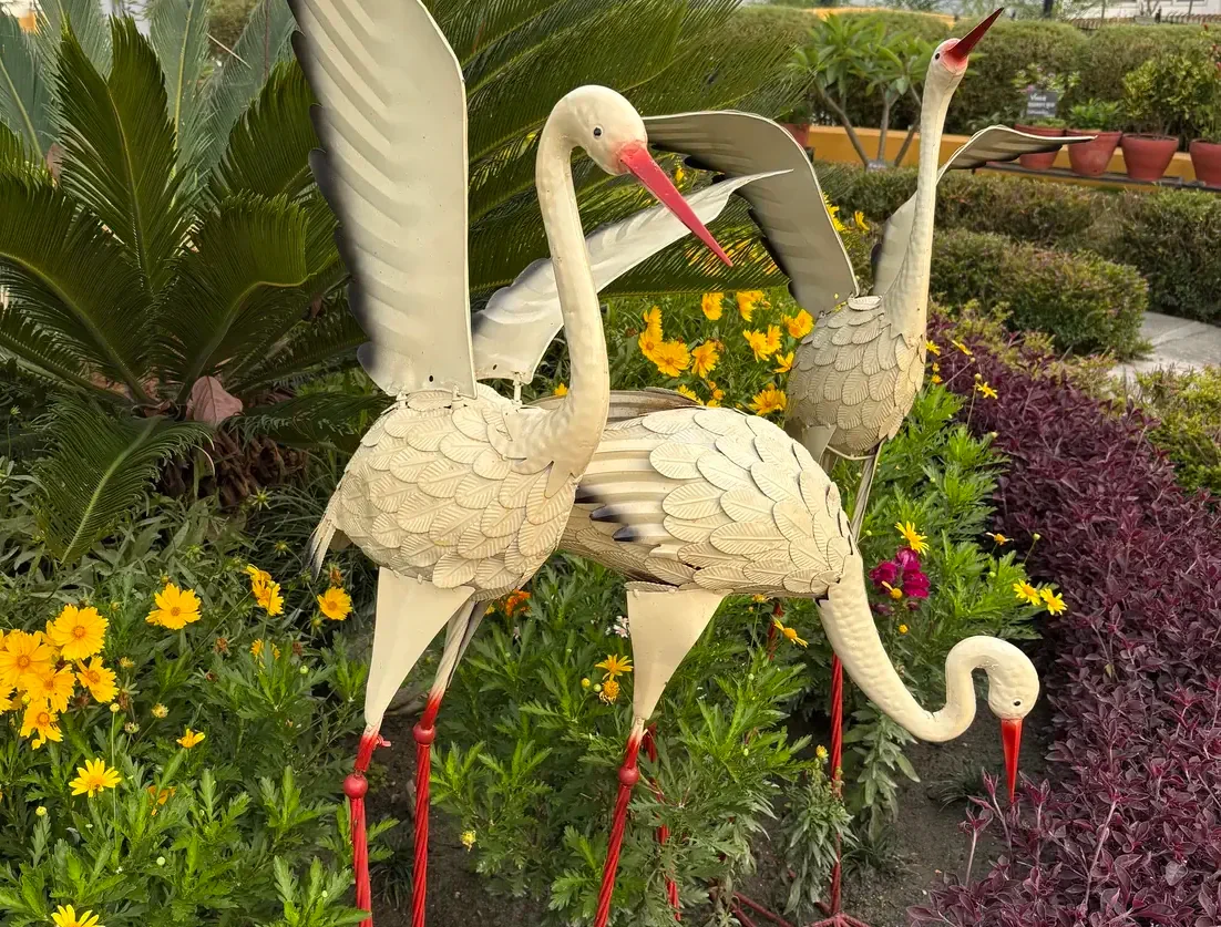 Cranes in the Garden
