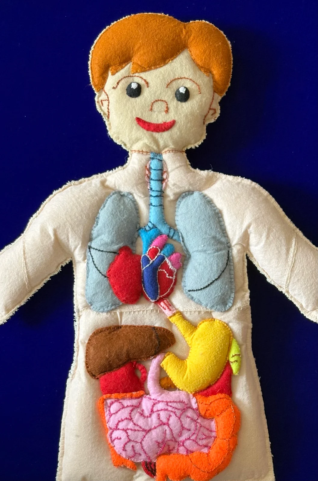 Inside the Body