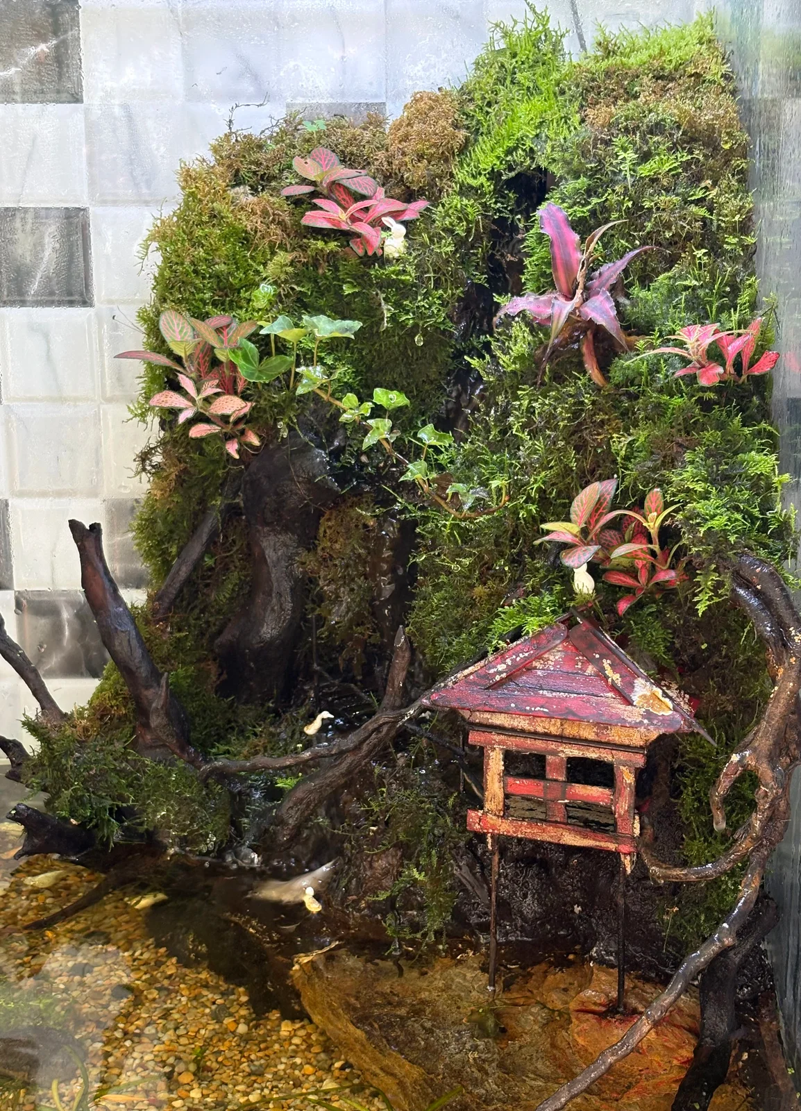 The Paludarium