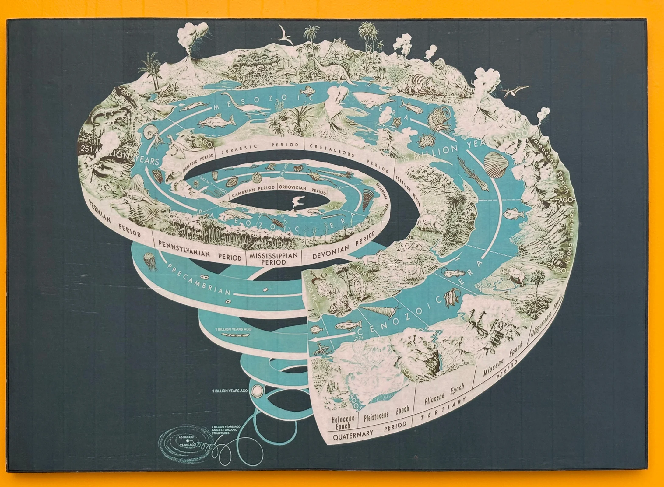 The Spiral of Life on Earth
