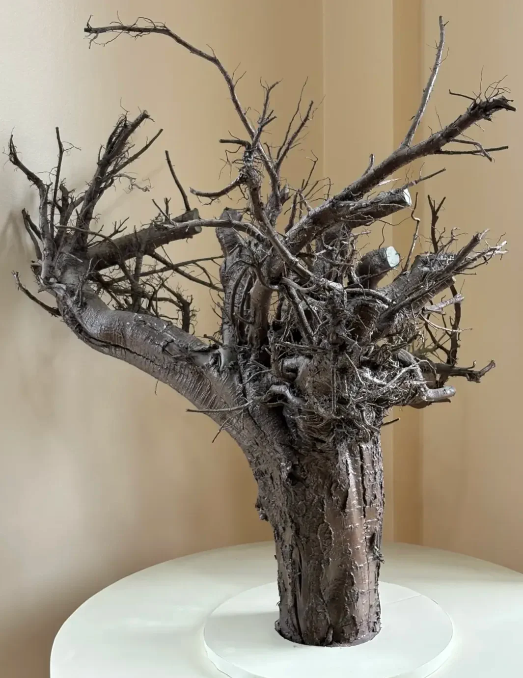 Fractal-Like Tree Root
