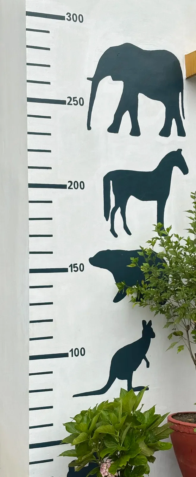 How Tall Are You?