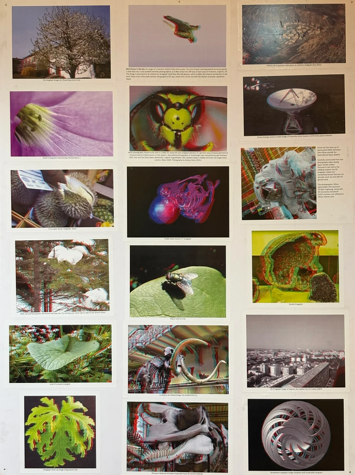 3D Photo Gallery