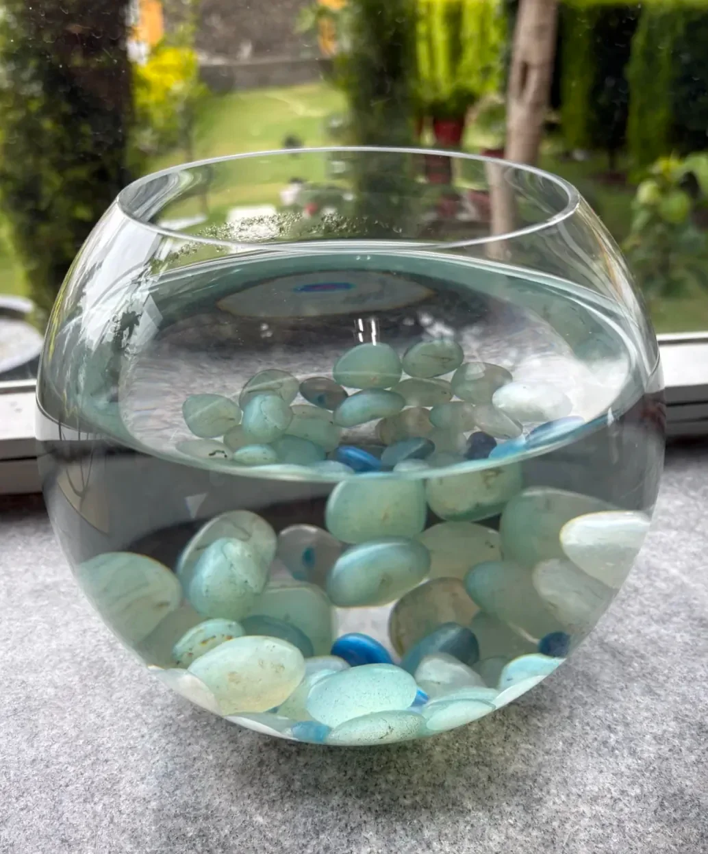 The Water Bowl Magnifier