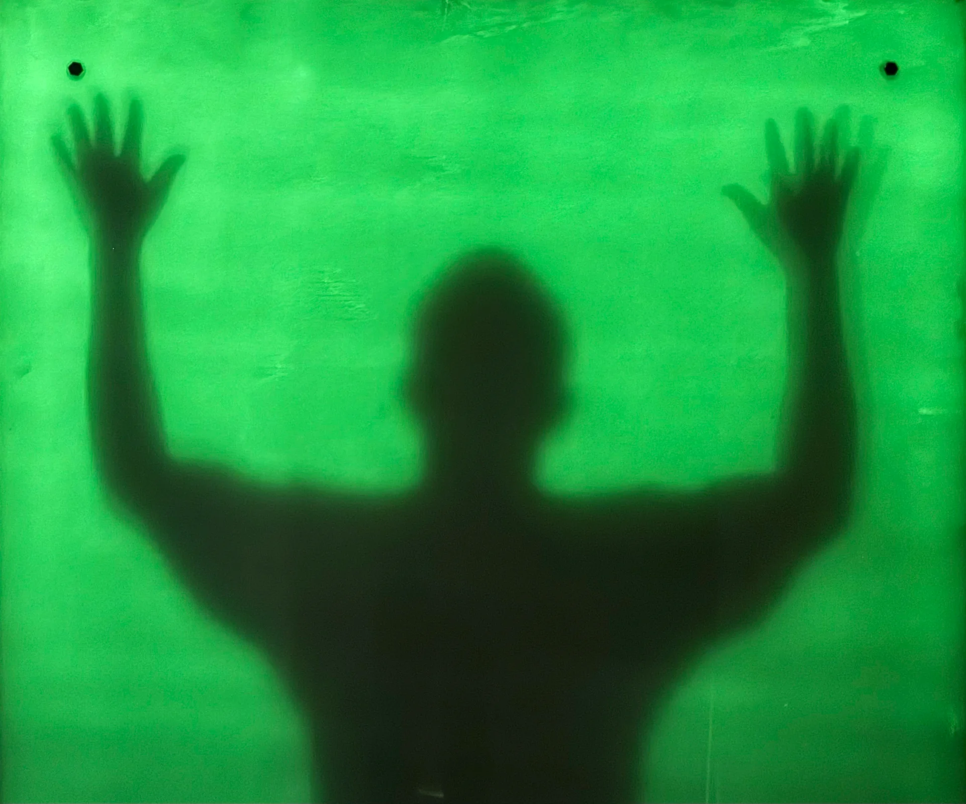 The Shadow Catcher