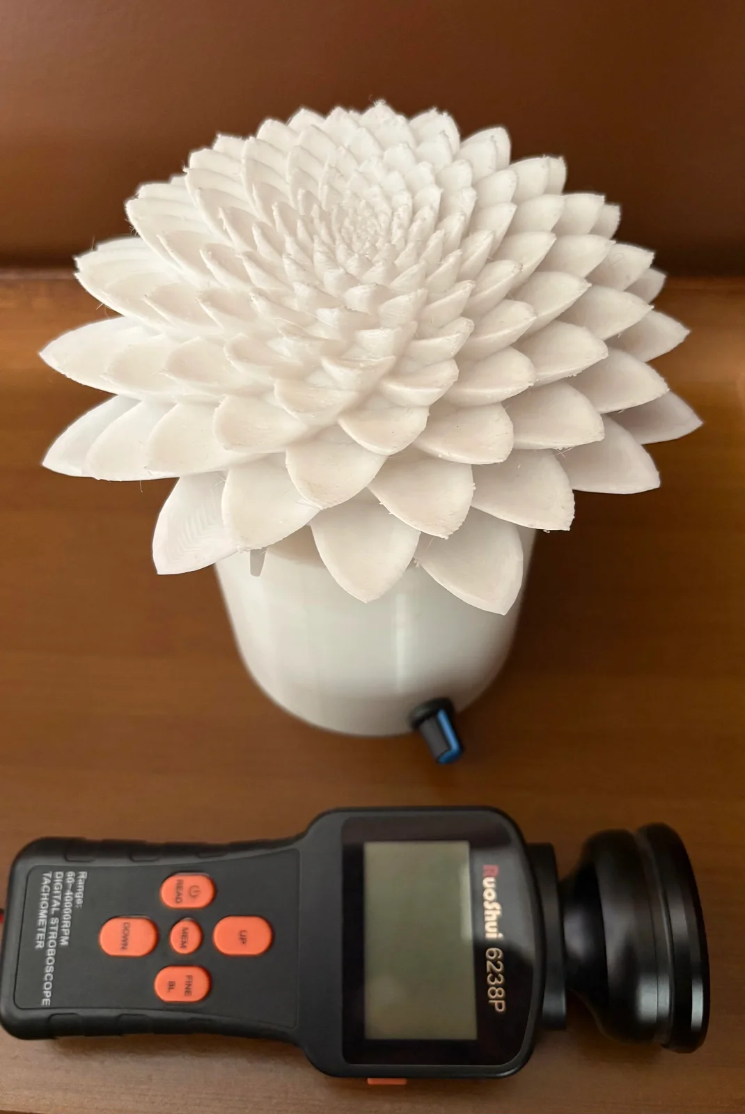 The Blooming Flower