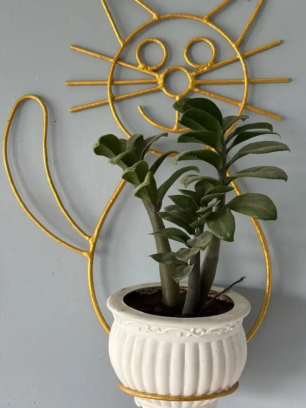 The Wire Cat Planter