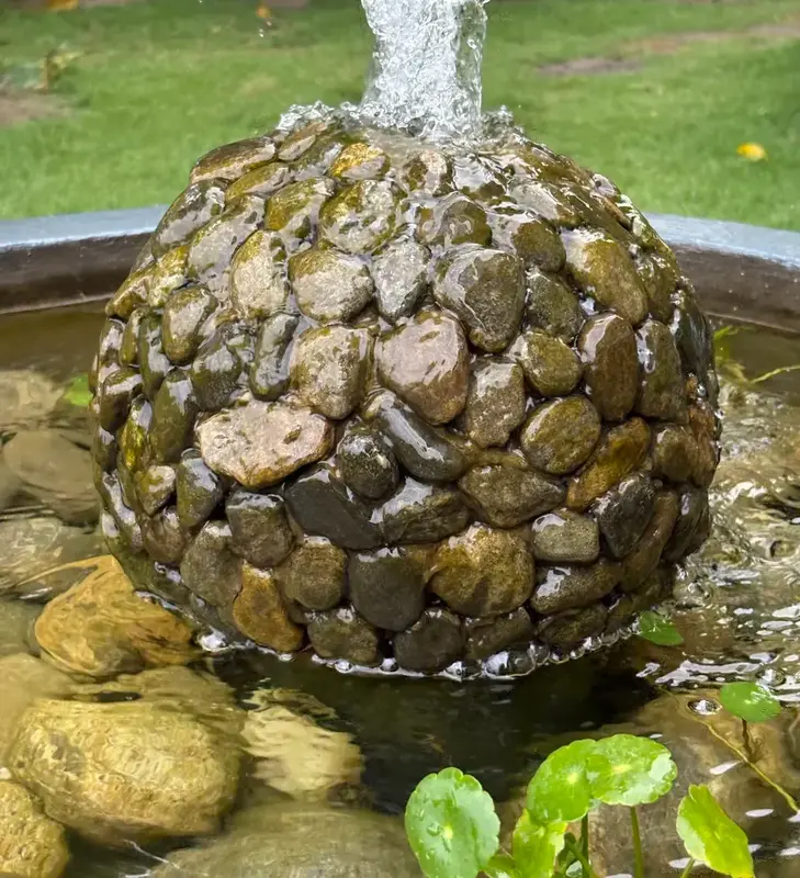 The Ecosystem Pond