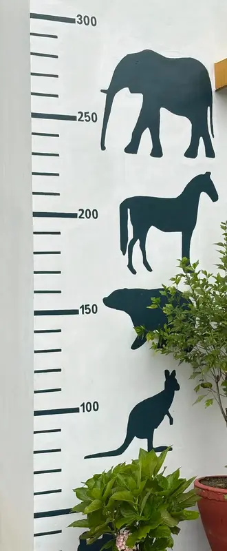 How Tall Are You?