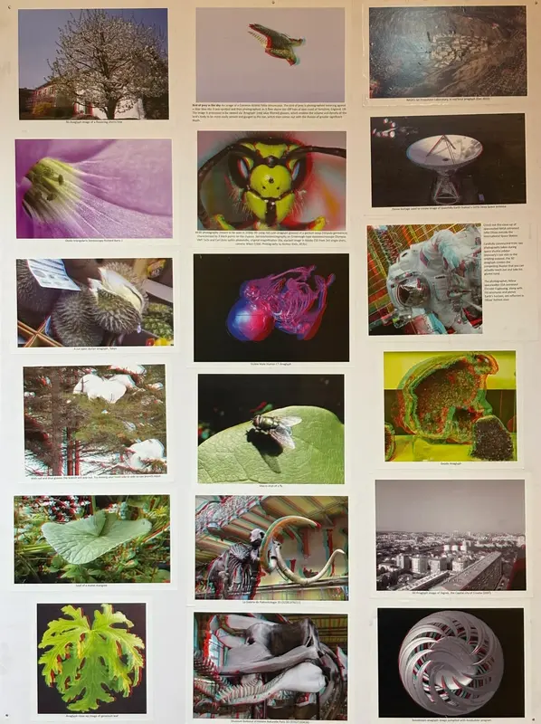 3D Photo Gallery