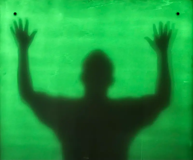 The Shadow Catcher