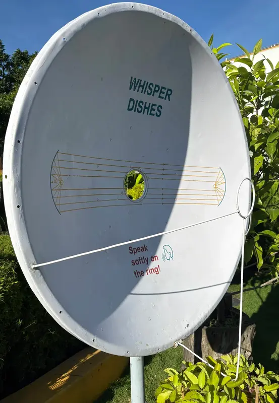 Whisper Dishes — Send a Whisper Across the Garden