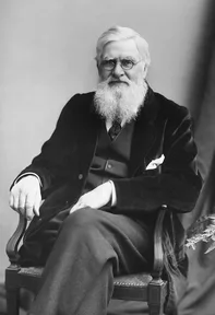 A photograph of Alfred Russel Wallace in about 1895, with a white beard