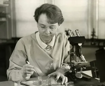 Barbara McClintock in her laboratory in 1947