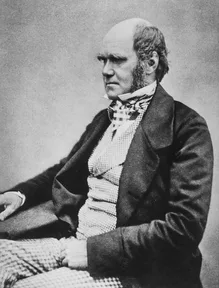 A photograph of Charles Darwin in about 1854, before he grew his beard