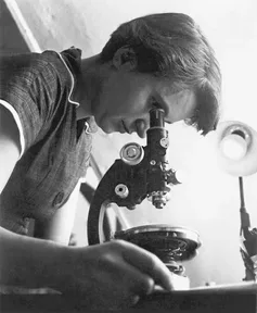 Rosalind Franklin at a microscope in 1955