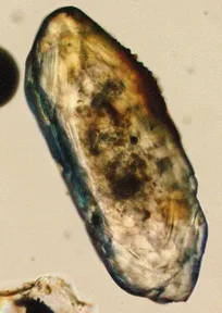 Tiny reddish-brown zircon crystals under a microscope