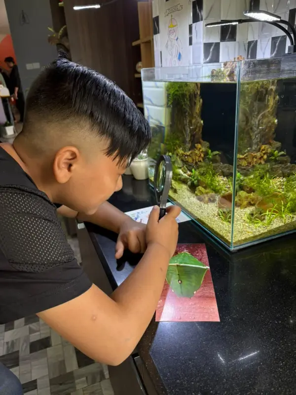At the shrimp tank